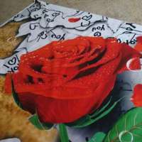 Changxing 3D panel disperse printed bed sheet brushed microfiber fabric with flower design for South Africa market